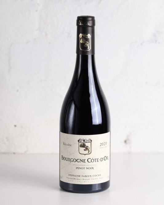 2020 Fabien Coche - Coche-Bizouard Bourgogne Cote d'Or Pinot Noir 750ml
