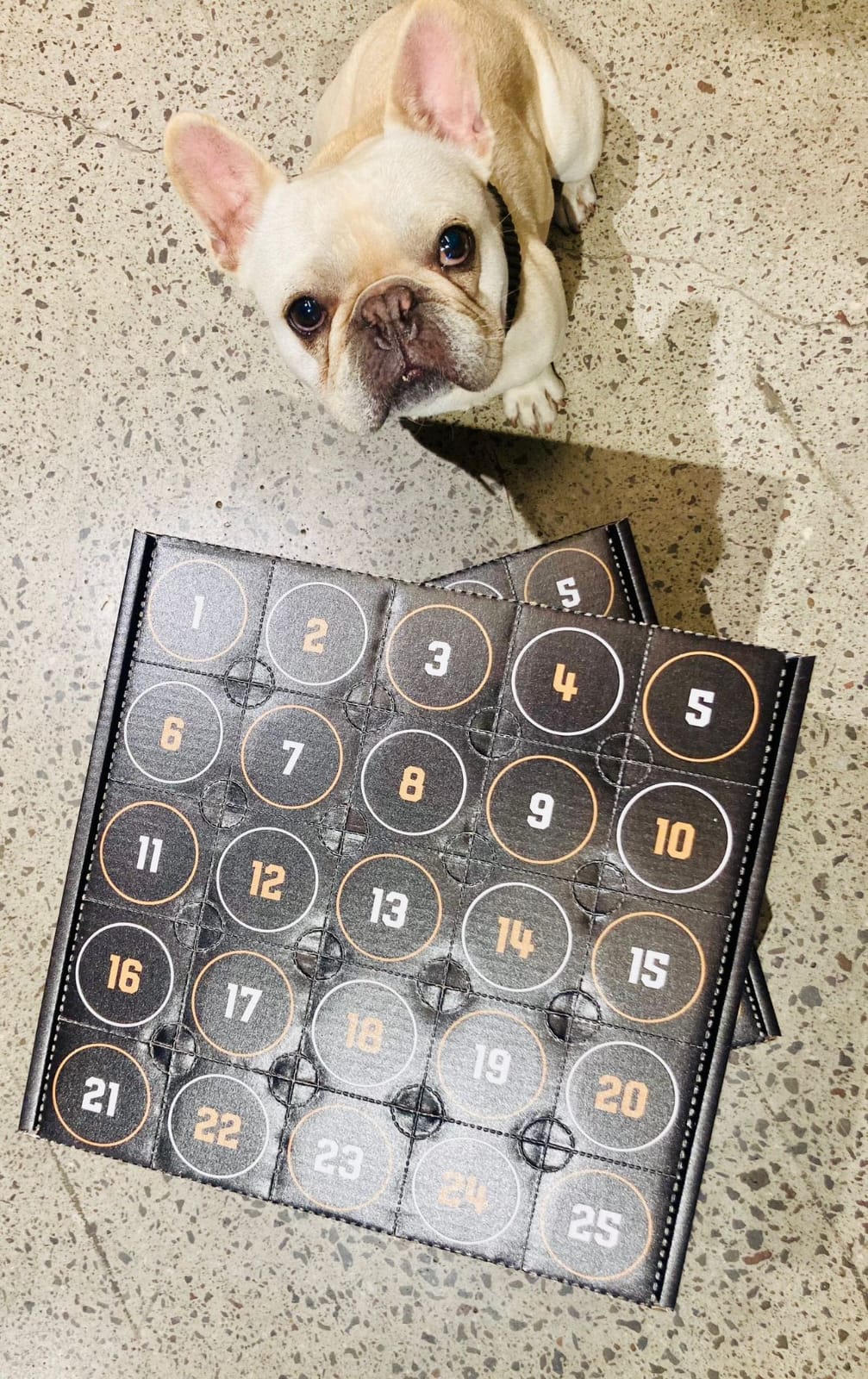 2025 Beer Advent Calender - ORDER NOW!